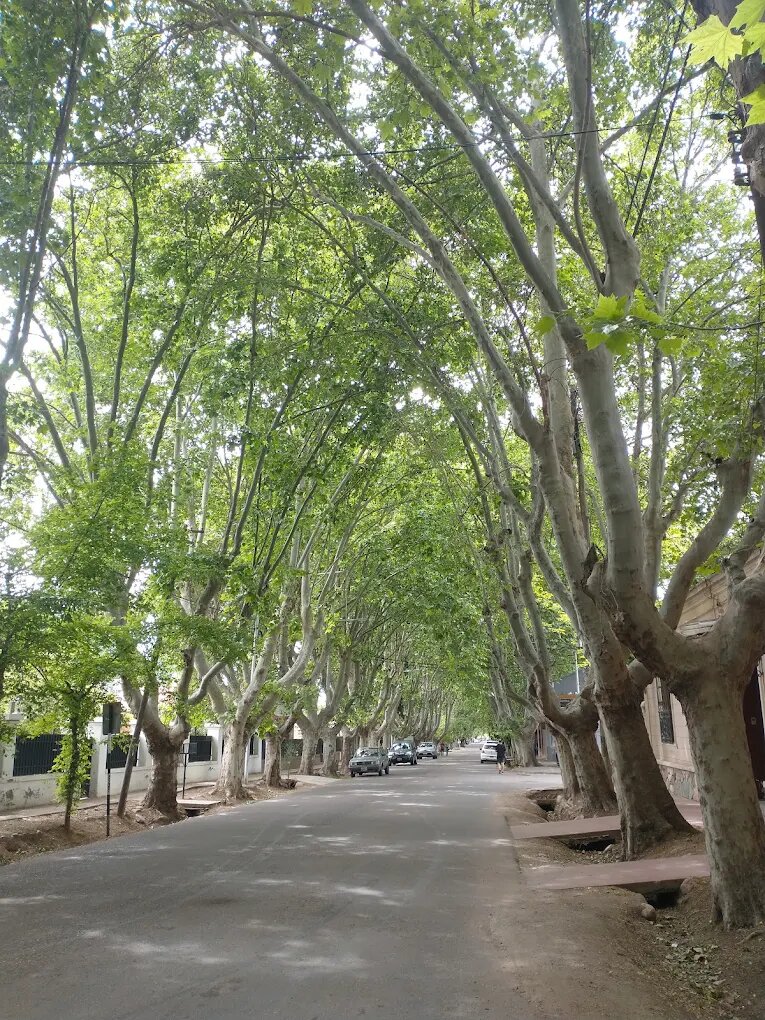 ORIGO VENDE LOTE DE 820 M² | CORAZÓN DE CHACRAS | CALLEJÓN PRIVADO - 2