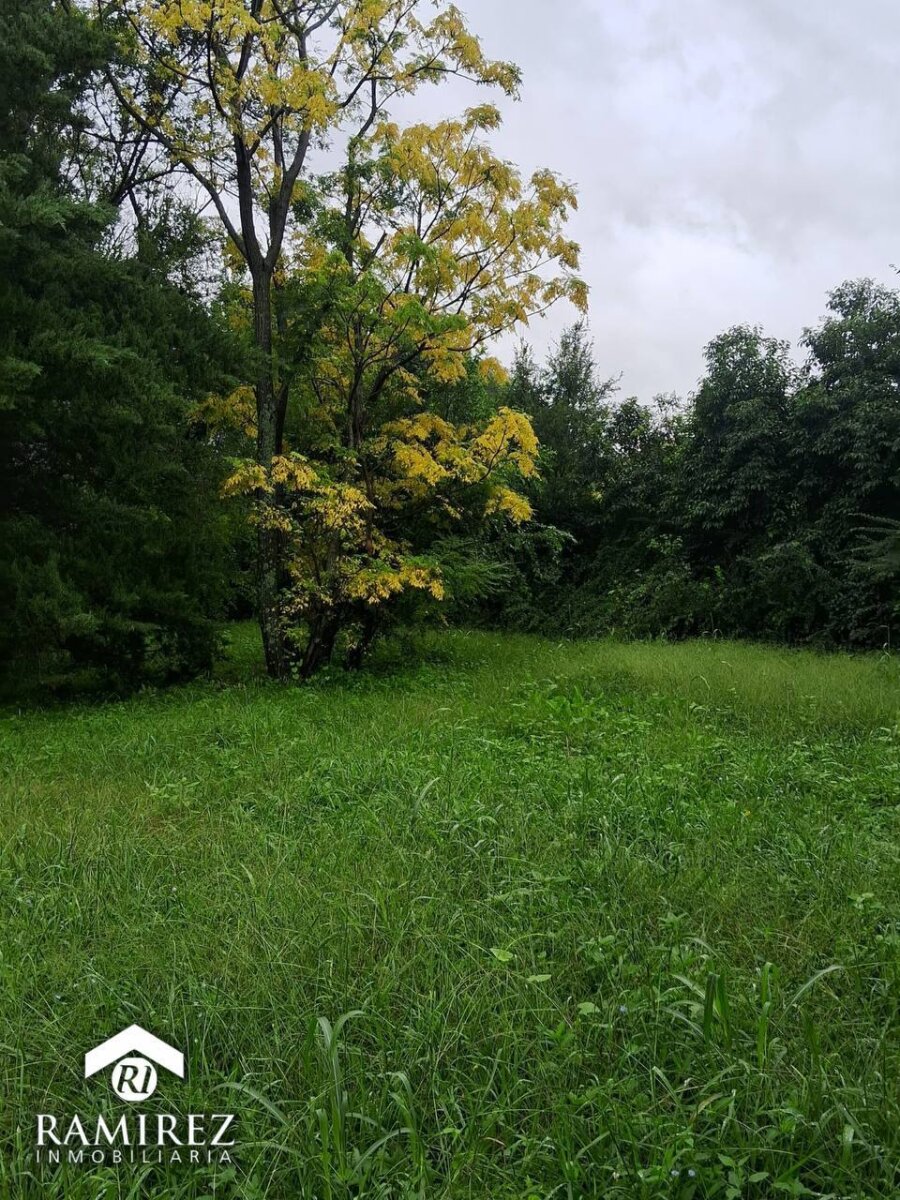Lote en venta sobre Ruta 5 - Santa Rosa de Calamuchita - Cordoba (COD LT29) - 3