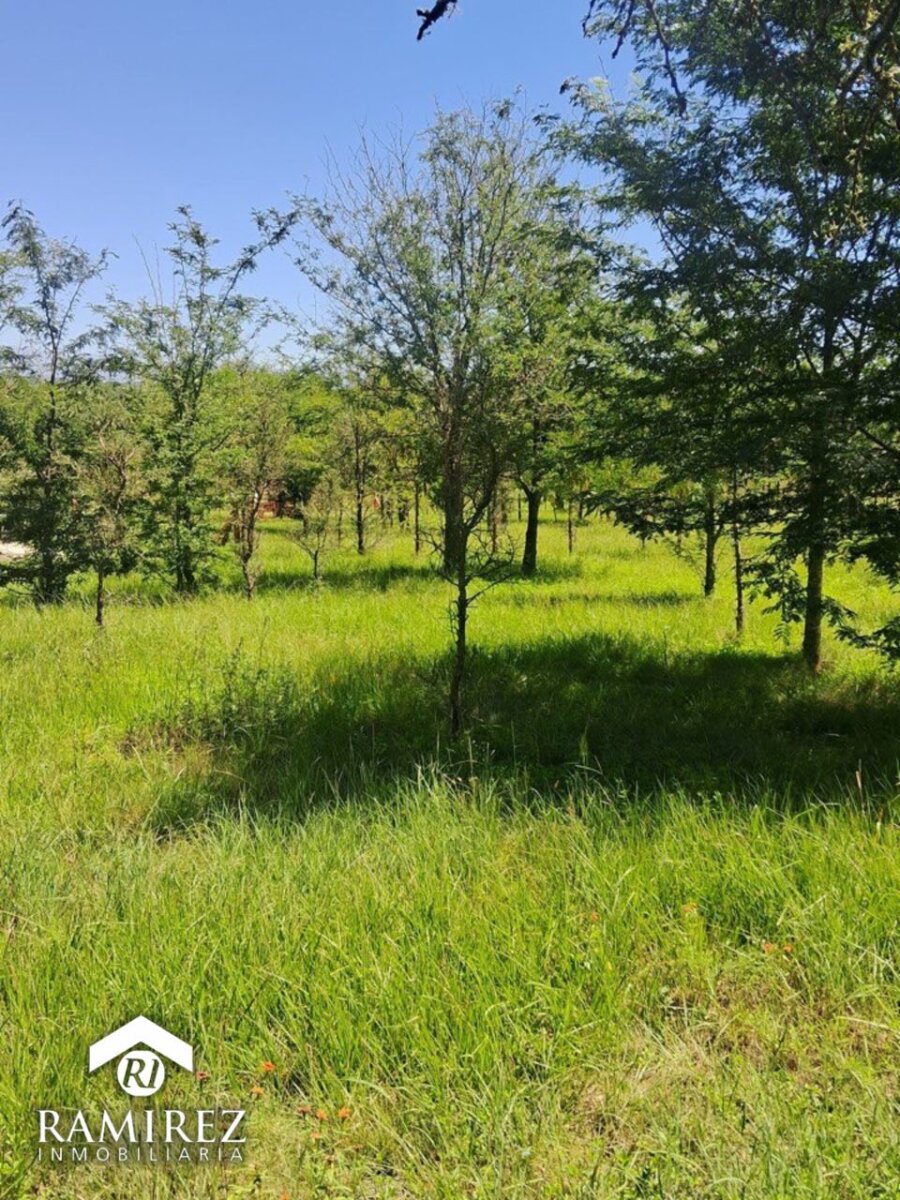 Venta de Lote en Quinta Soñada - Santa rosa de calamuchita - Cordona ( COD TE123) - 6