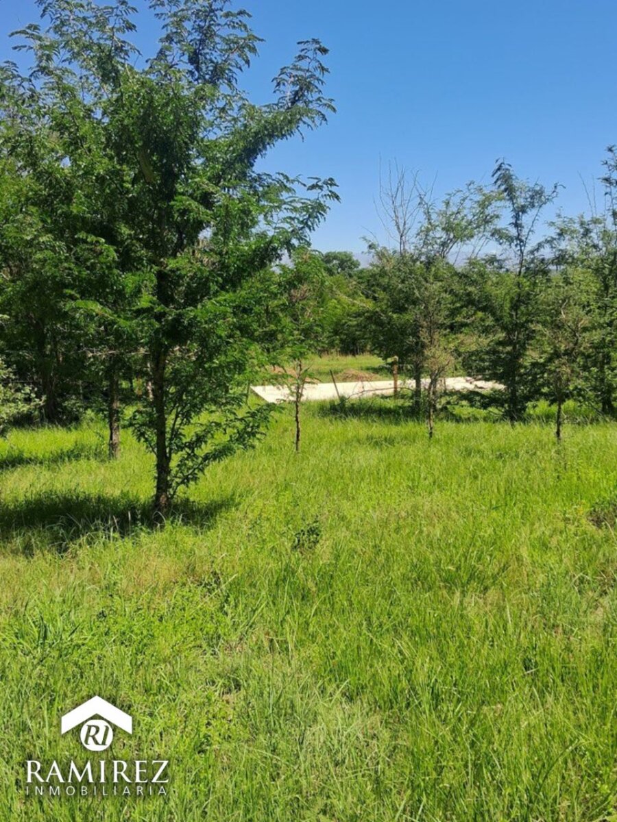 Venta de Lote en Quinta Soñada - Santa rosa de calamuchita - Cordona ( COD TE123) - 3