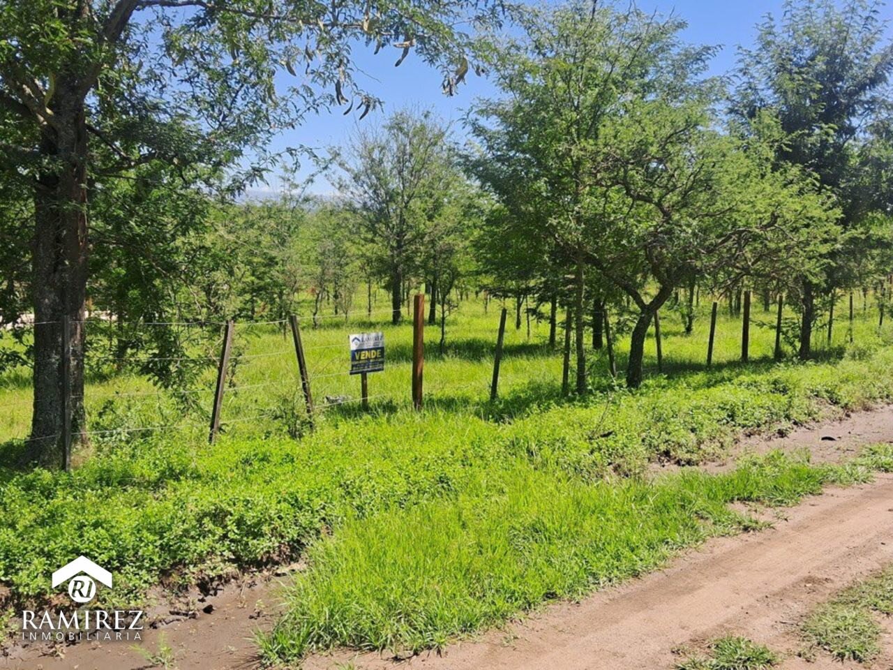 Venta de Lote en Quinta Soñada - Santa rosa de calamuchita - Cordona ( COD TE123) - 4