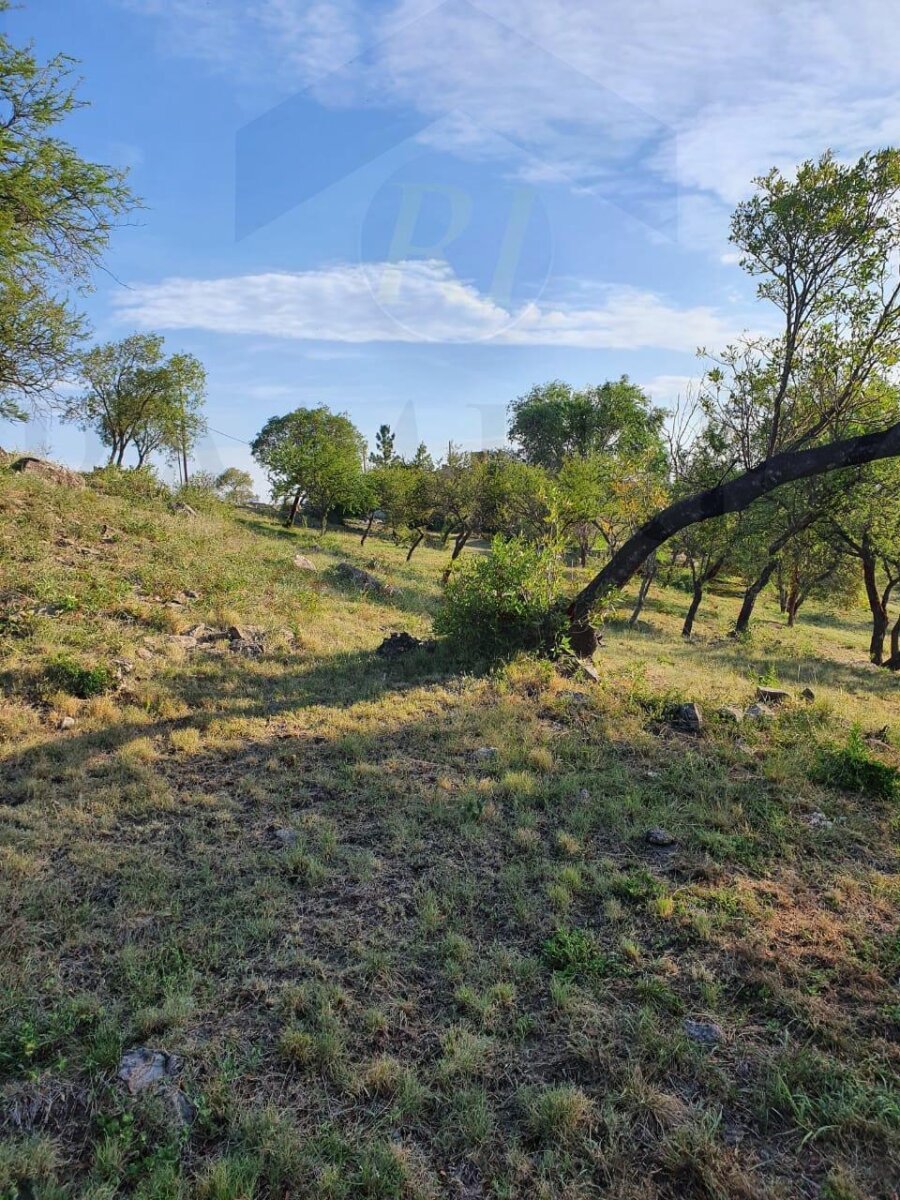 Venta de Lote - B° Posta Carreta - Santa rosa de calamuchita - Cordona ( COD TE53)