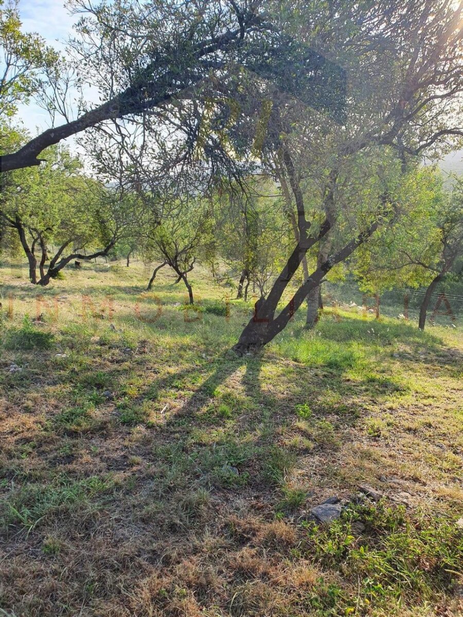 Venta de Lote - B° Posta Carreta - Santa rosa de calamuchita - Cordona ( COD TE53) - Imagen 3