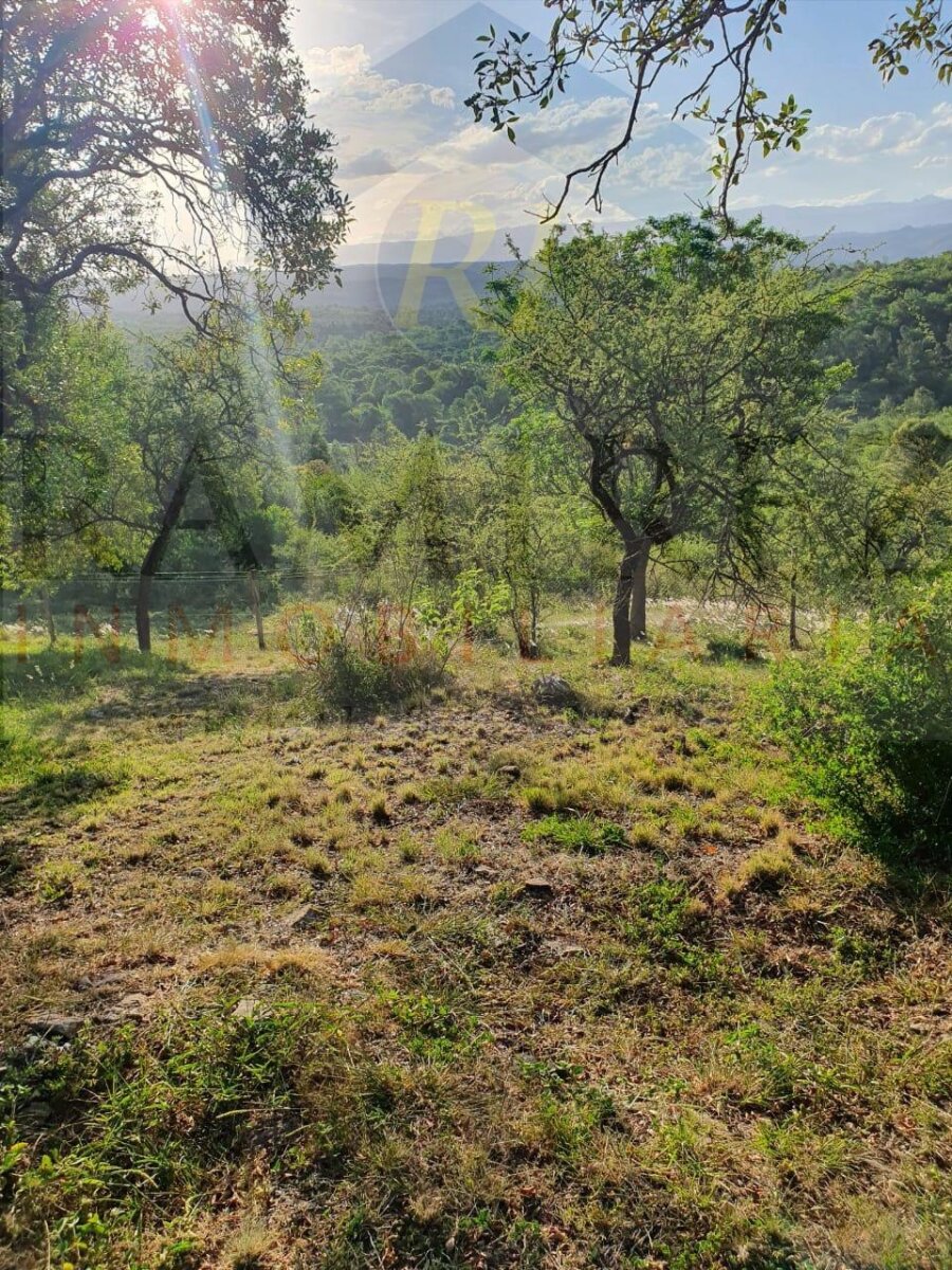 Venta de Lote - B° Posta Carreta - Santa rosa de calamuchita - Cordona ( COD TE53) - Imagen 4