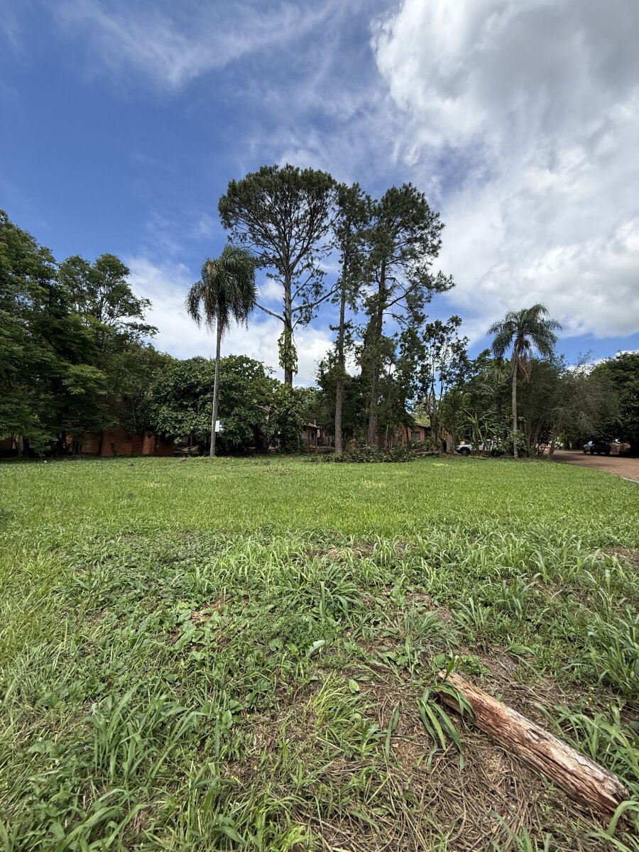 2 LOTES RESIDENCIALES EN VENTA UBICADOS SOBRE CALLE AGR. POMAR Y BRASILIA KM10 | ELDORADO MISIONES - 5