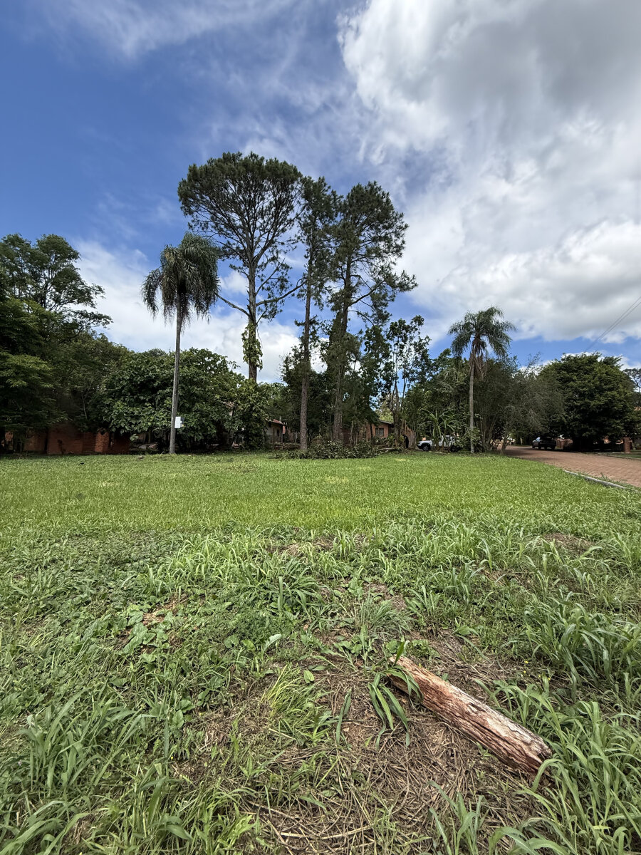 2 LOTES RESIDENCIALES EN VENTA UBICADOS SOBRE CALLE AGR. POMAR Y BRASILIA KM10 | ELDORADO MISIONES - 6