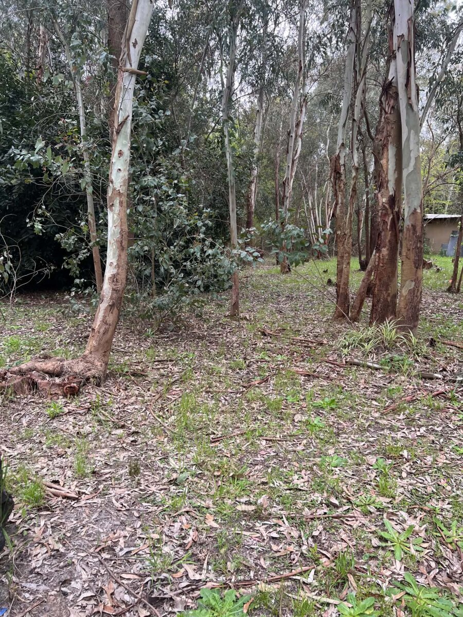 Propiedad en Bosque Encantado - Algarrobo - 18
