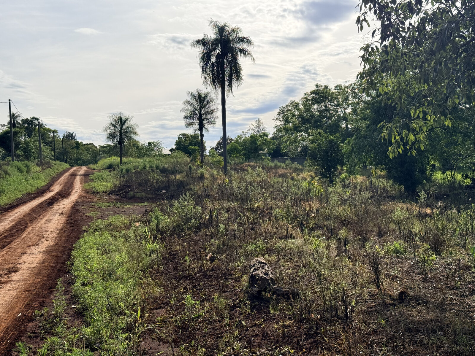 TERRENO RESIDENCIAL EN VENTA UBICADO EN BARRIO BERNIN KM2 DE ELDORADO | MISIONES - 12