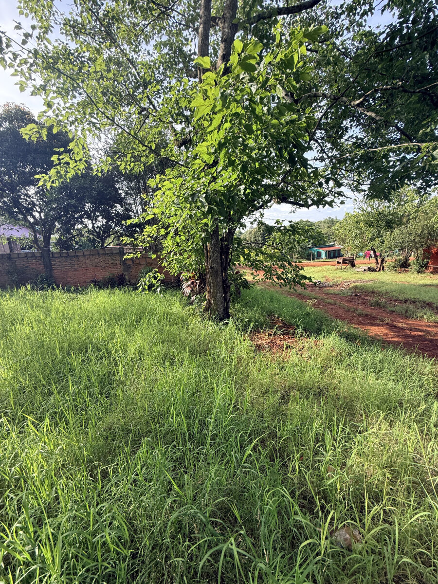 TERRENO RESIDENCIAL EN VENTA UBICADO EN BARRIO BERNIN KM2 DE ELDORADO | MISIONES - 7