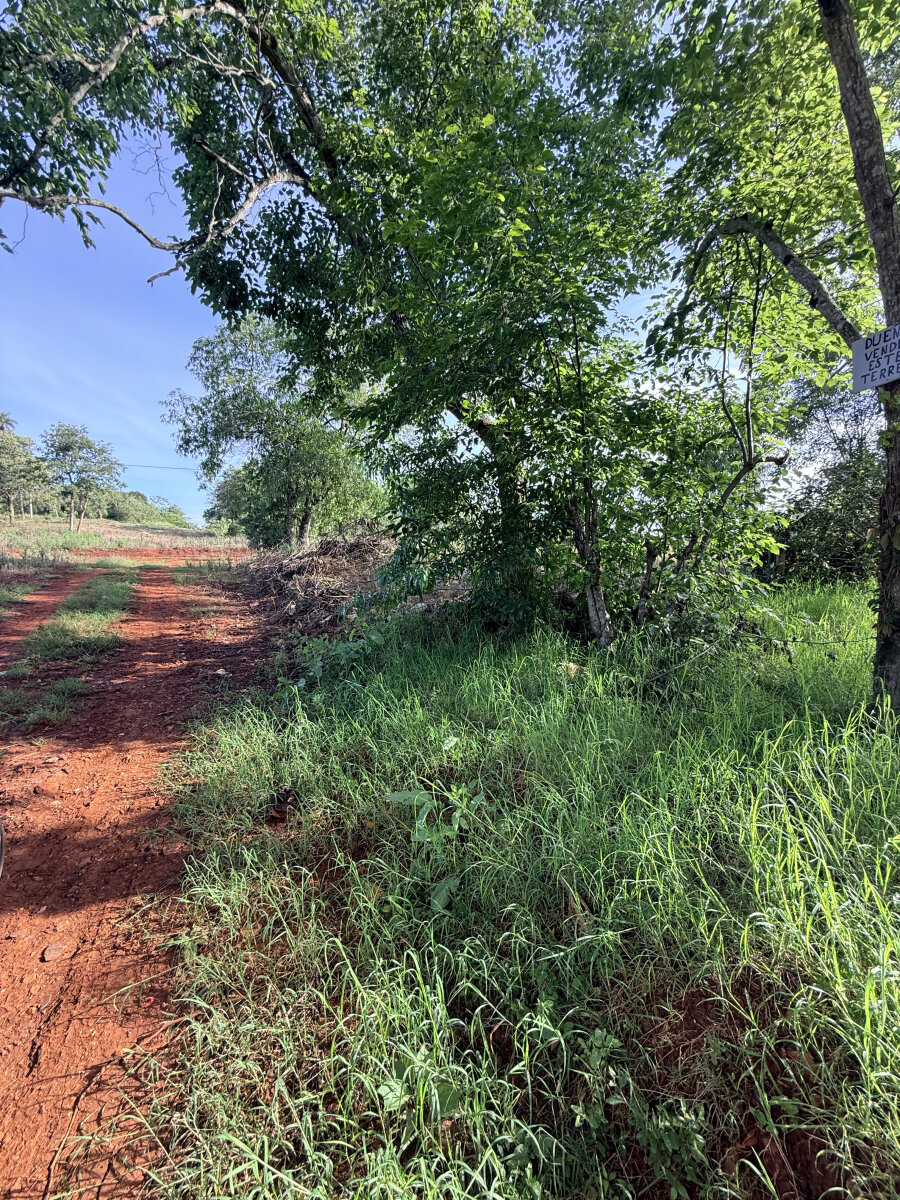 TERRENO RESIDENCIAL EN VENTA UBICADO EN BARRIO BERNIN KM2 DE ELDORADO | MISIONES - 13