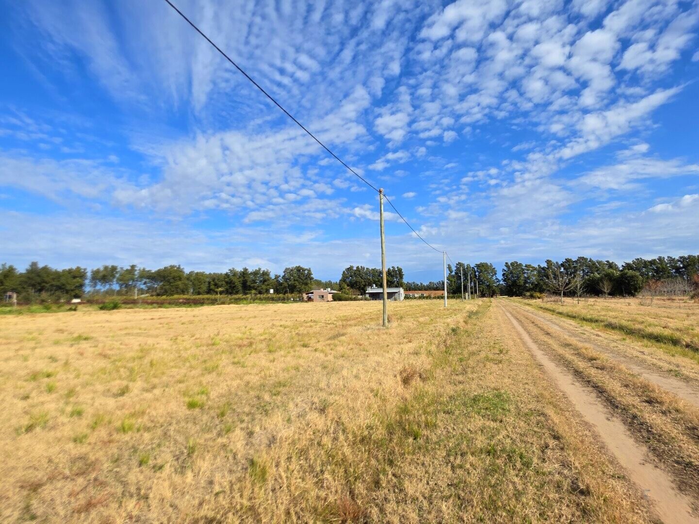 LOTES EN VENTA - San Pedro - 3