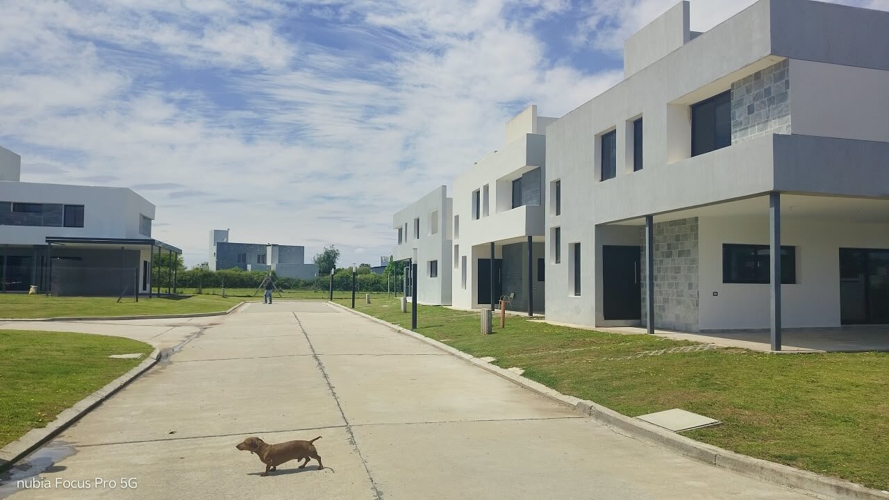 ALQUILER CASA 2 DORM 2BAÑOS C/PATIO COCHERA Y ASADOR  en HOUSING - E53 $ 900.000 - Imagen 2