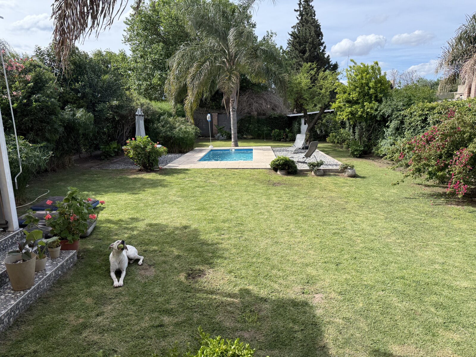Casa con gran parque y pileta en Villa Rivera Indarte- 4 dorm, 3 baños, cochera techada - 51