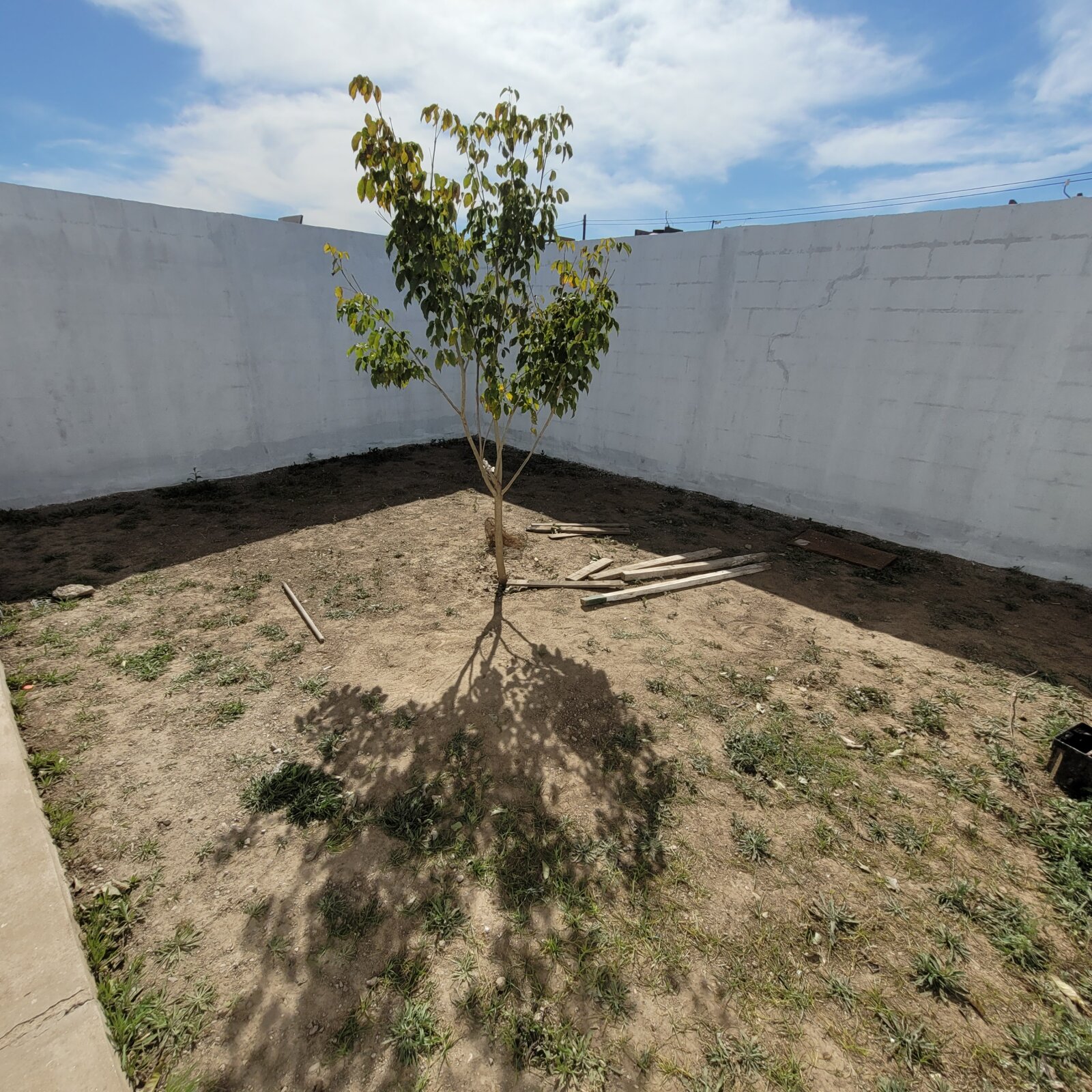 ALQUILER- UNIVERSITARIO DE HORIZONTE-CASA 2 DORM-PATIO - Imagen 9