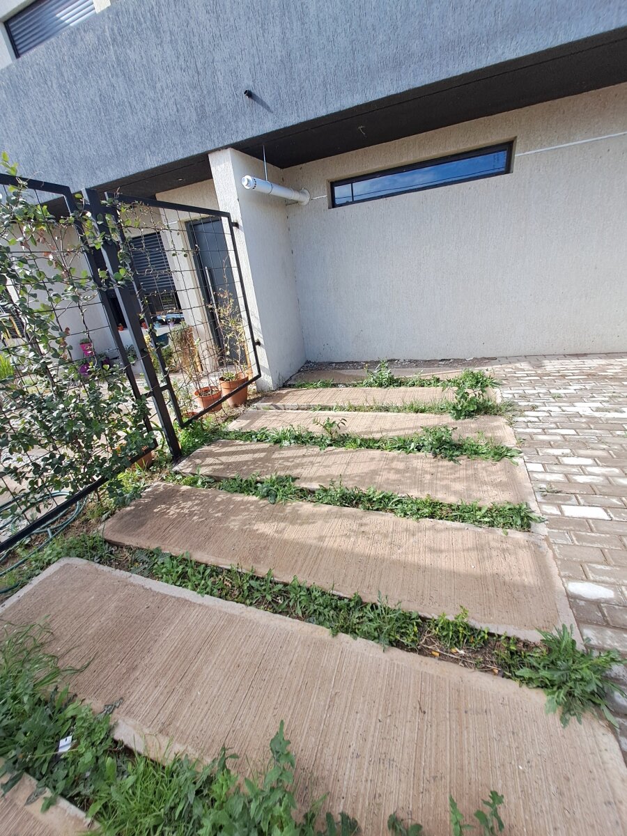 Cipolleti 601 — foto 4
