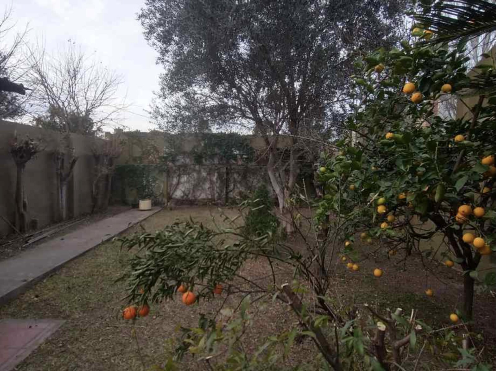 Casa de 3 ambientes en Morón Norte - 30
