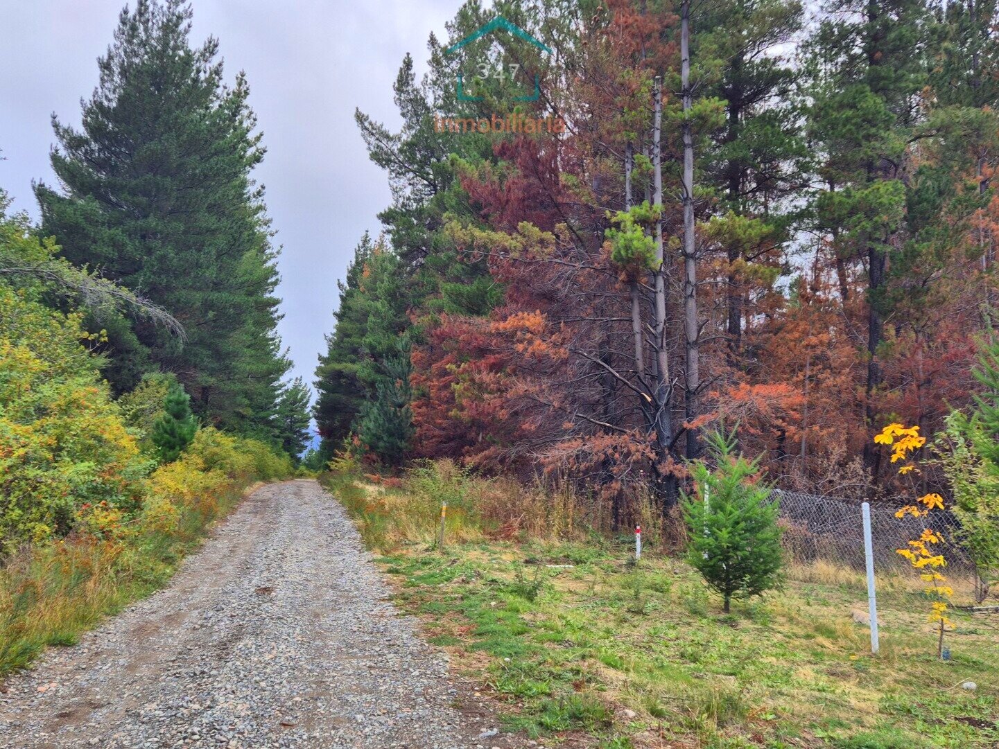 (097) Terreno en Mallín Ahogado de 7295 m² - 3