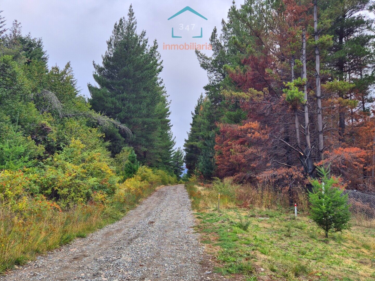 (097) Terreno en Mallín Ahogado de 7295 m² - 1
