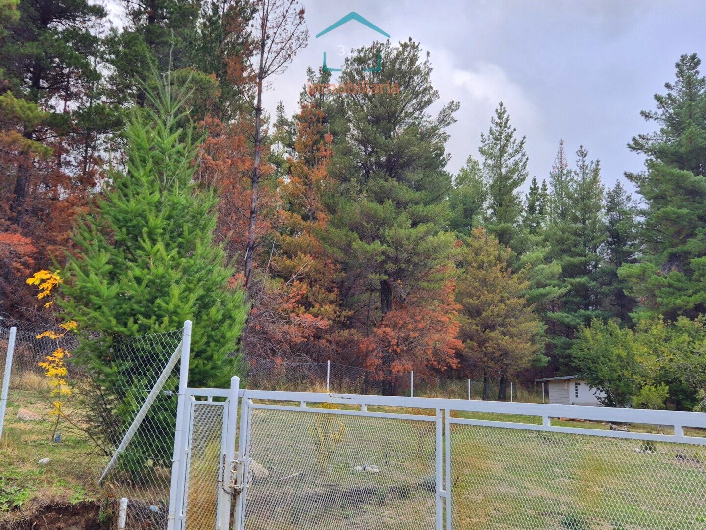 (097) Terreno en Mallín Ahogado de 7295 m² - 2
