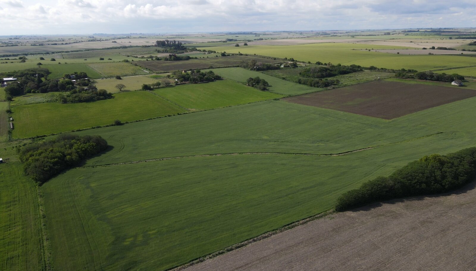 Rincon del Doll - 8 hectareas agricolas. - 5