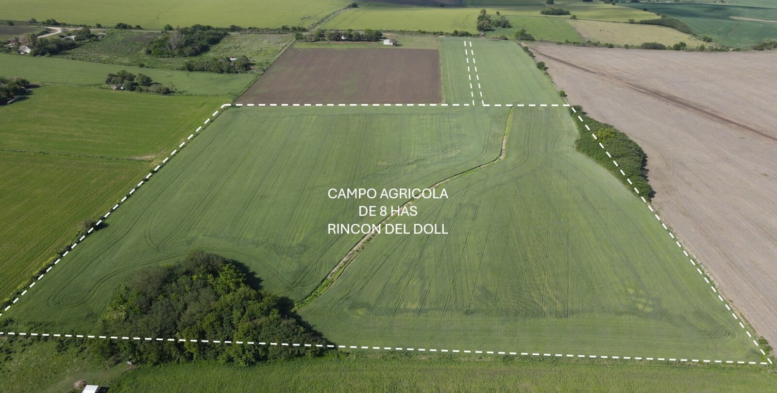 Rincon del Doll - 8 hectareas agricolas. - 2