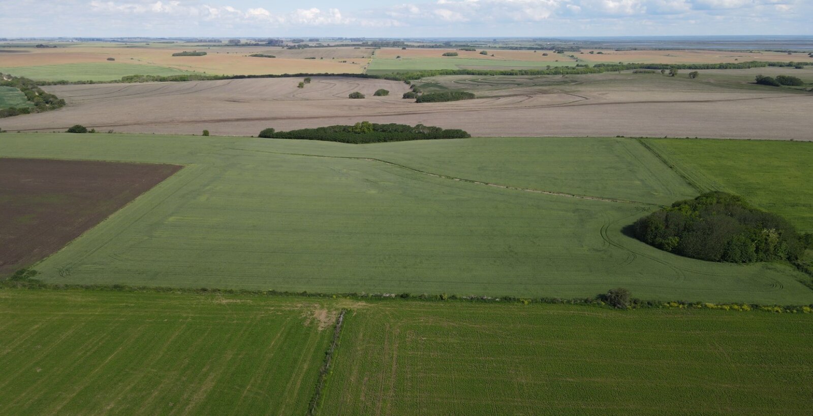 Rincon del Doll - 8 hectareas agricolas. - 4