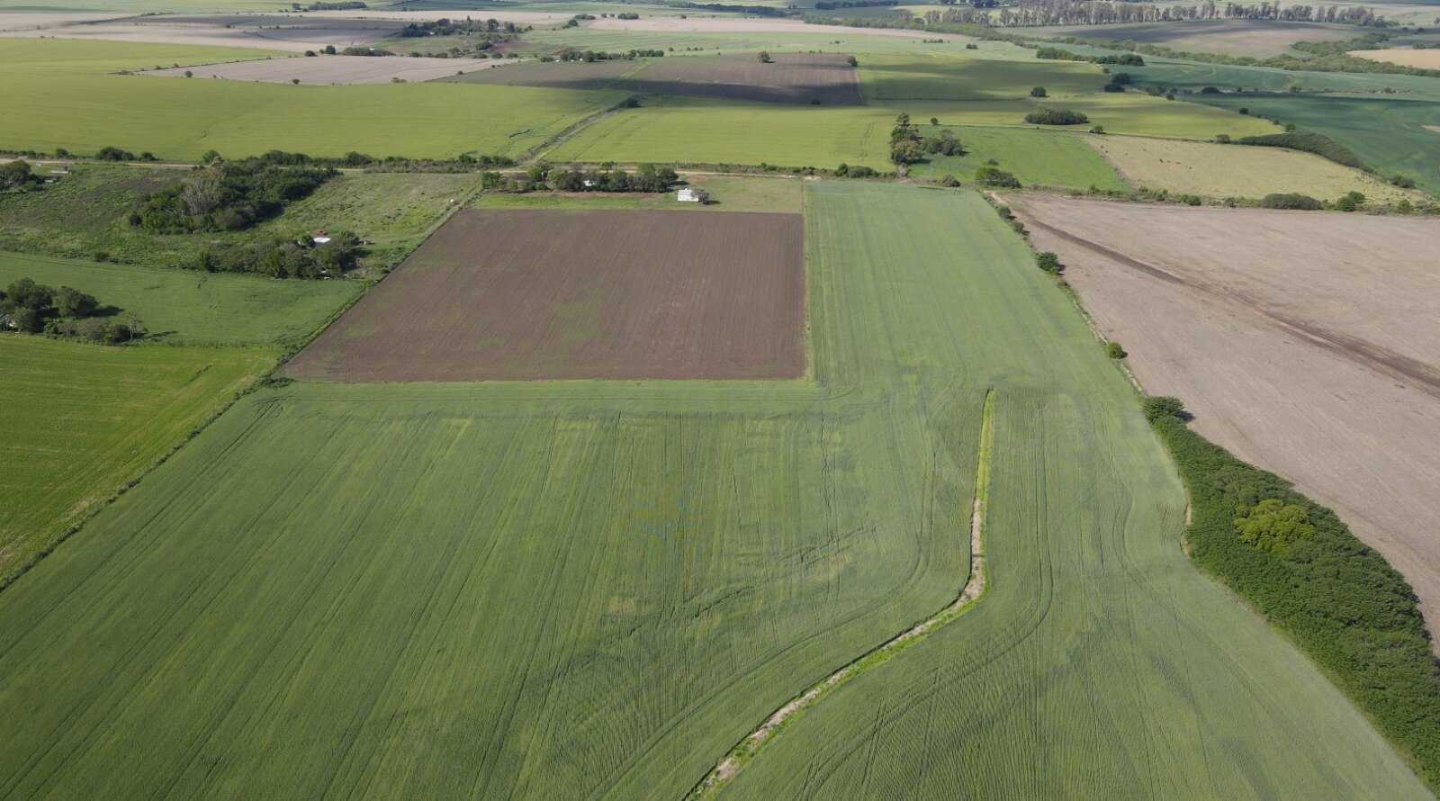 Rincon del Doll - 8 hectareas agricolas. - 3
