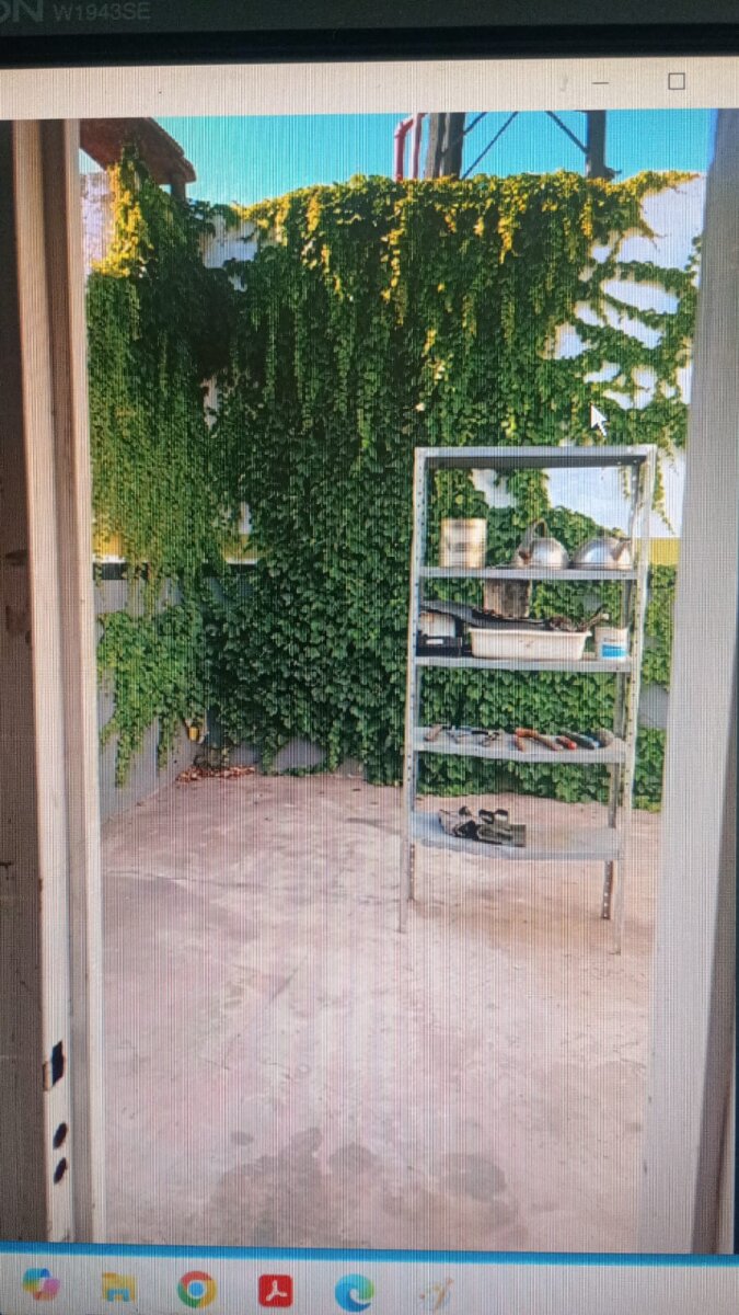 VENTA LOCAL - 8