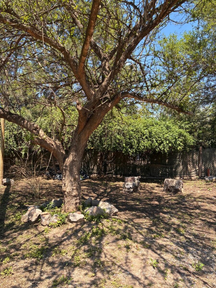 SE ALQUILA CADA UN DOMITORIO EXCELNTE ZONA — foto 2