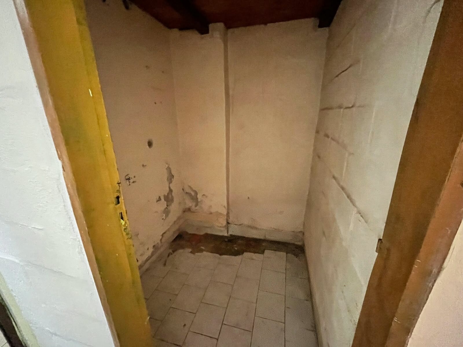 VENDO CASA MÁS DEPARTAMENTO BARRIO ITUZAINGÓ — foto 12