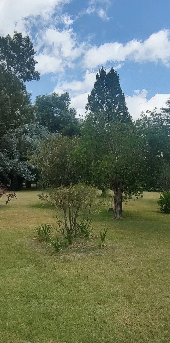 Chacra en Venta de 2,4 Hectáreas con una propiedad de 200metros cuadrados. - 8