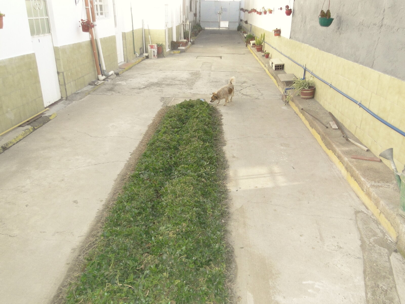 DUPLEX CENTRICO EN NEUQUEN - 1 DORMITORIO — foto 2