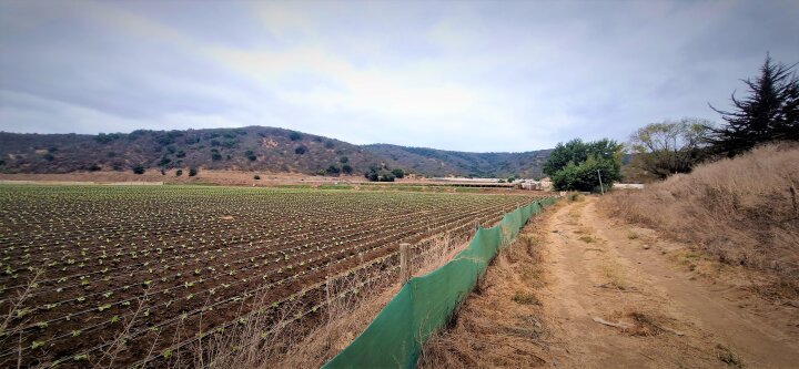 Lot for sale in Quillota, Valparaíso