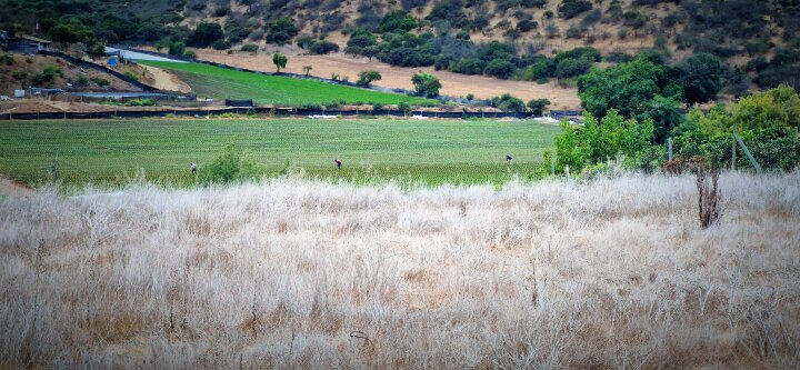 Lot for sale in Quillota, Valparaíso