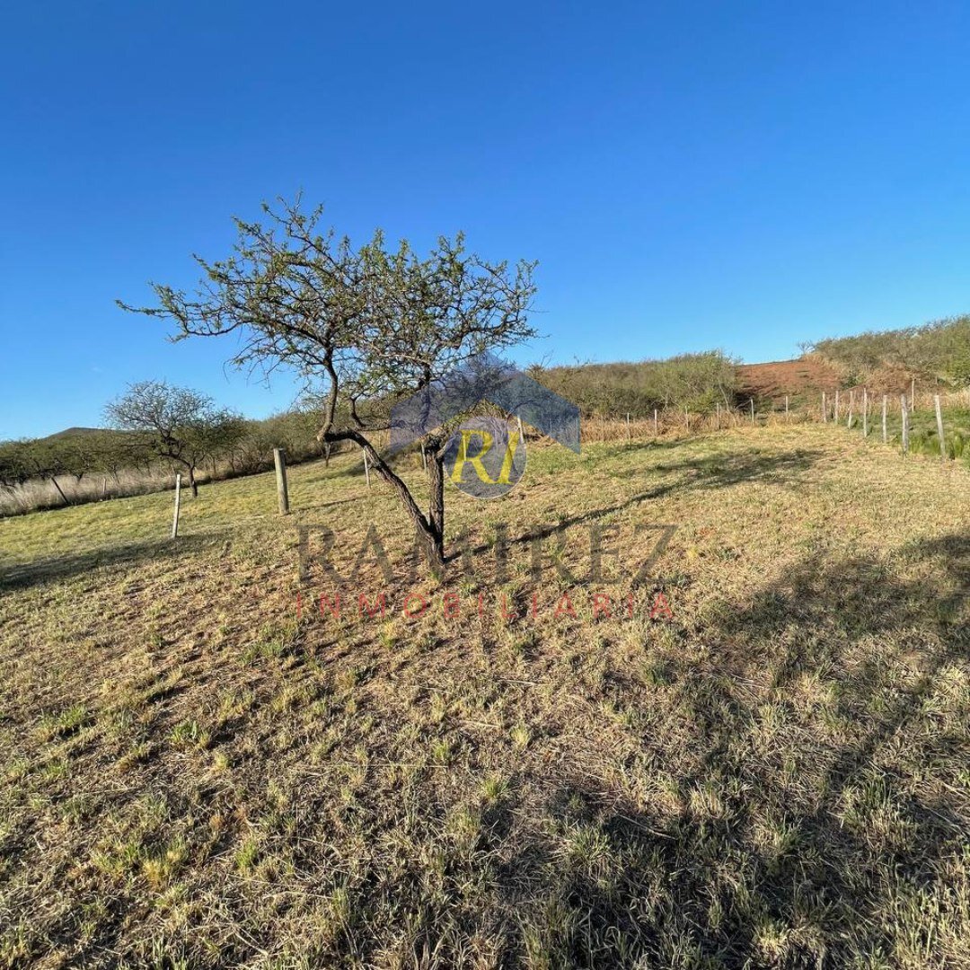 Venta de Lote - Villa Rumipal - Cordona - 3