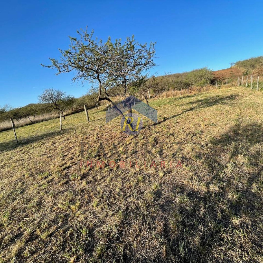 Venta de Lote - Villa Rumipal - Cordona - 2