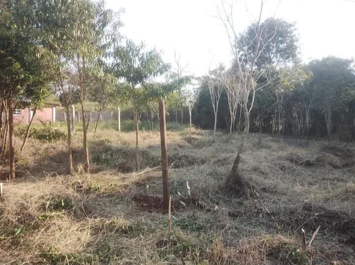 TERRENO RESIDENCIAL EN VENTA UBICADO ENTRE CALLES 2 DE MAYO Y LOMAS DEL TALAR KM9 | ELDORADO MISIONES — foto 12