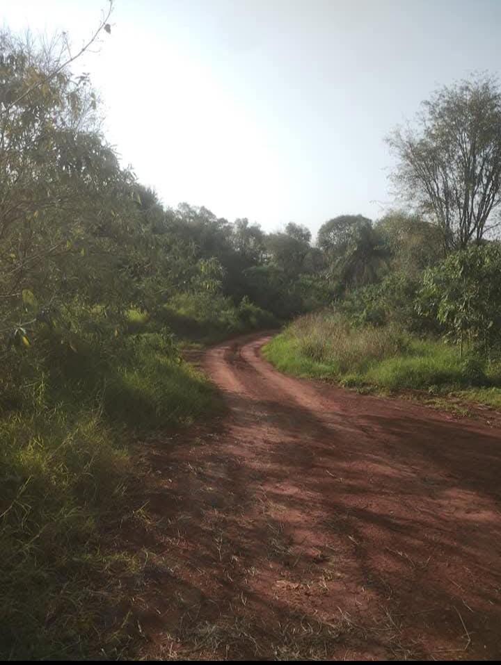 TERRENO RESIDENCIAL EN VENTA UBICADO ENTRE CALLES 2 DE MAYO Y LOMAS DEL TALAR KM9 | ELDORADO MISIONES — foto 3