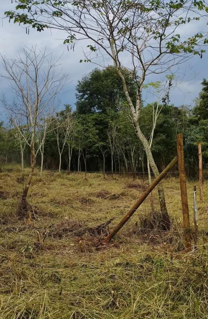TERRENO RESIDENCIAL EN VENTA UBICADO ENTRE CALLES 2 DE MAYO Y LOMAS DEL TALAR KM9 | ELDORADO MISIONES — foto 4