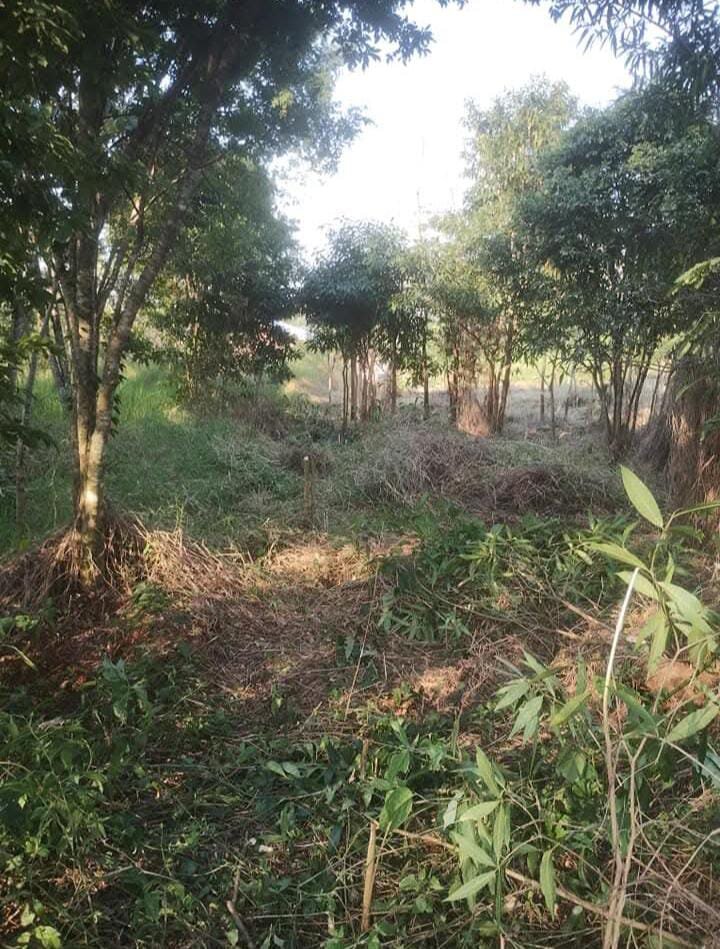 TERRENO RESIDENCIAL EN VENTA UBICADO ENTRE CALLES 2 DE MAYO Y LOMAS DEL TALAR KM9 | ELDORADO MISIONES — foto 15
