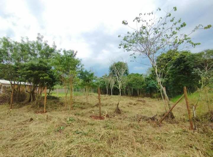 TERRENO RESIDENCIAL EN VENTA UBICADO ENTRE CALLES 2 DE MAYO Y LOMAS DEL TALAR KM9 | ELDORADO MISIONES — foto 2