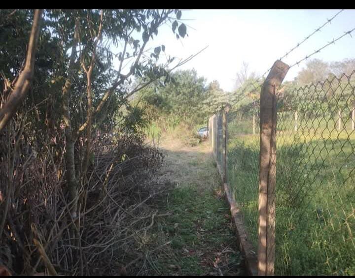TERRENO RESIDENCIAL EN VENTA UBICADO ENTRE CALLES 2 DE MAYO Y LOMAS DEL TALAR KM9 | ELDORADO MISIONES — foto 5