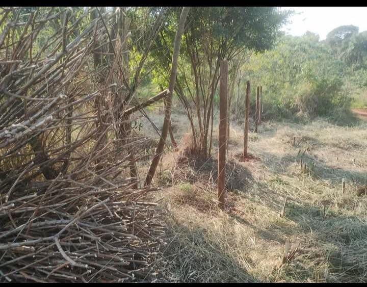 TERRENO RESIDENCIAL EN VENTA UBICADO ENTRE CALLES 2 DE MAYO Y LOMAS DEL TALAR KM9 | ELDORADO MISIONES — foto 6