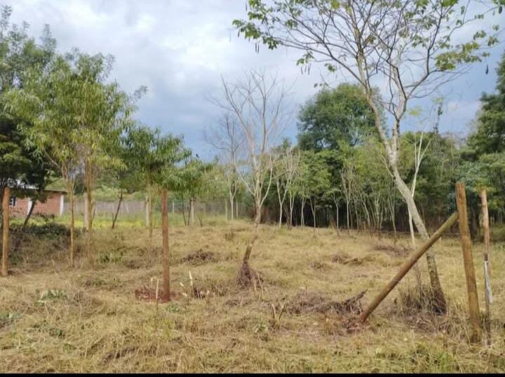 TERRENO RESIDENCIAL EN VENTA UBICADO ENTRE CALLES 2 DE MAYO Y LOMAS DEL TALAR KM9 | ELDORADO MISIONES — foto 8