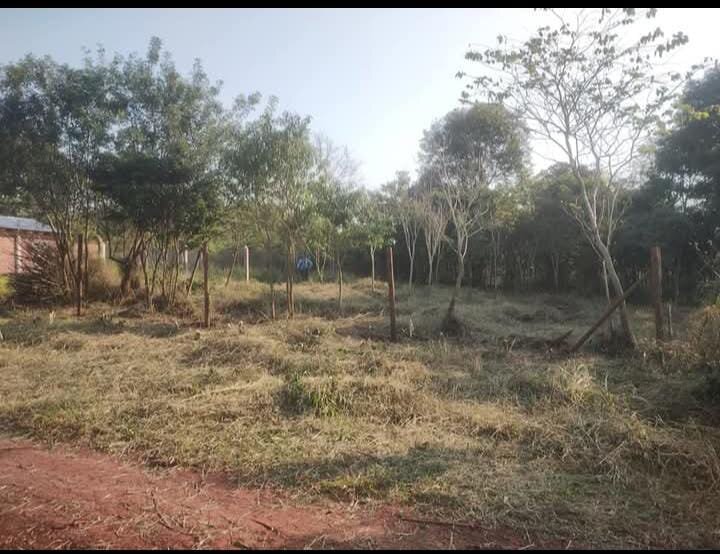 TERRENO RESIDENCIAL EN VENTA UBICADO ENTRE CALLES 2 DE MAYO Y LOMAS DEL TALAR KM9 | ELDORADO MISIONES — foto 11