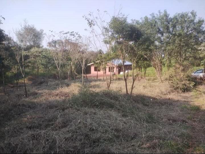 TERRENO RESIDENCIAL EN VENTA UBICADO ENTRE CALLES 2 DE MAYO Y LOMAS DEL TALAR KM9 | ELDORADO MISIONES — foto 13