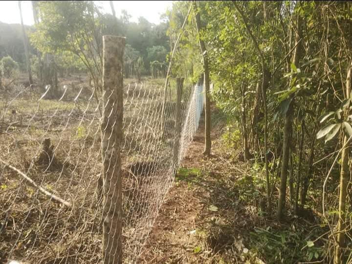 TERRENO RESIDENCIAL EN VENTA UBICADO ENTRE CALLES 2 DE MAYO Y LOMAS DEL TALAR KM9 | ELDORADO MISIONES — foto 7