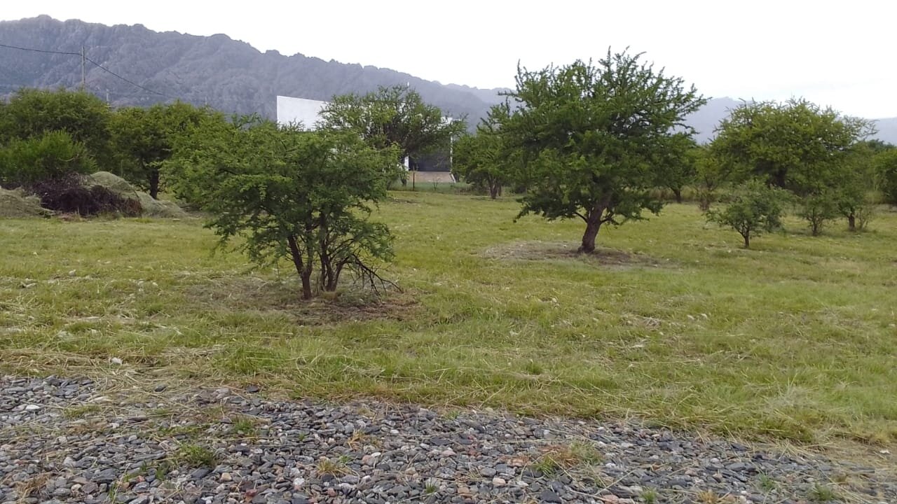 Propiedad en Cortaderas - San Luis - 16