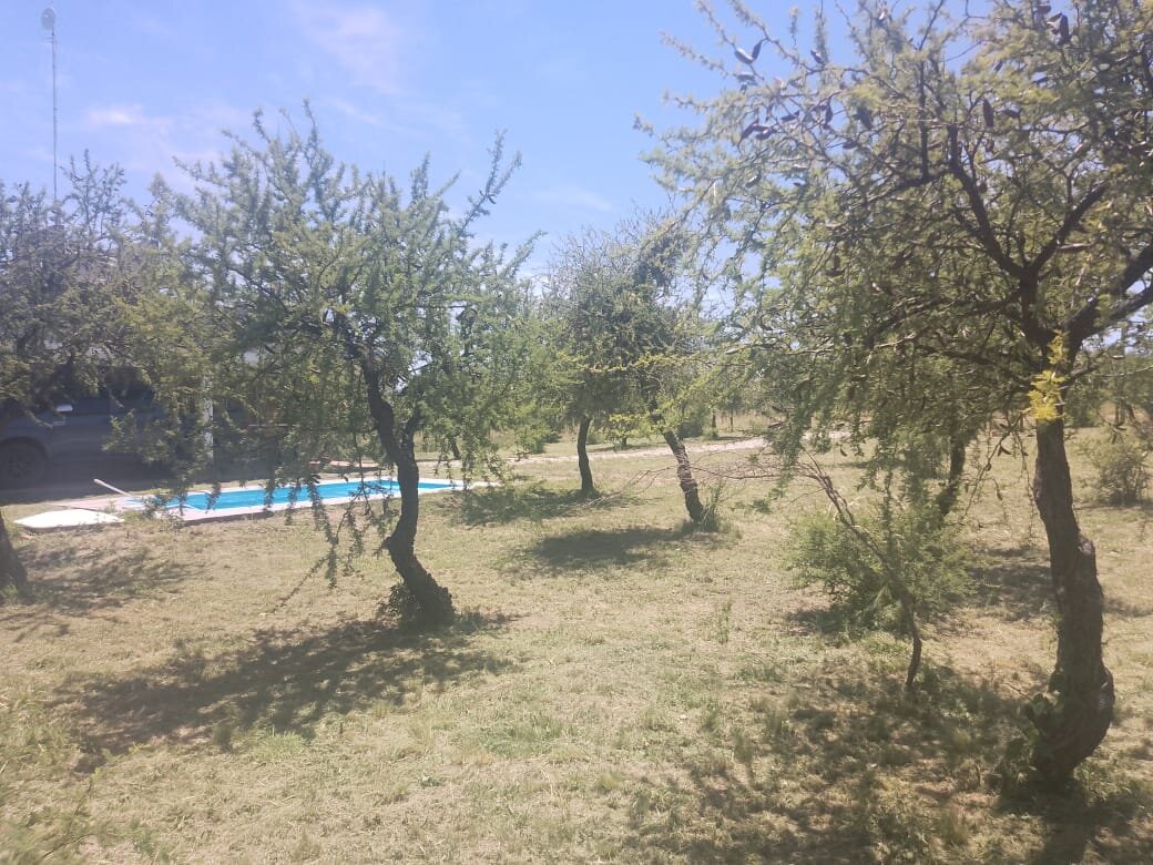Propiedad en Cortaderas - San Luis — foto 4