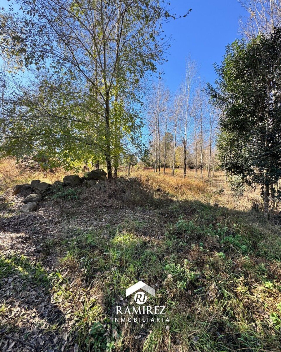 Venta de lote- Villa Yacanto- Cordoba - 3